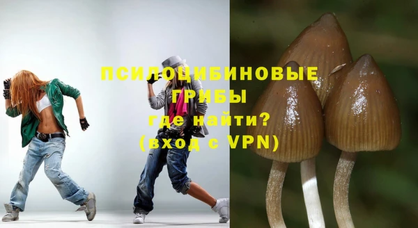 ГАЛЛЮЦИНОГЕННЫЕ ГРИБЫ Балахна